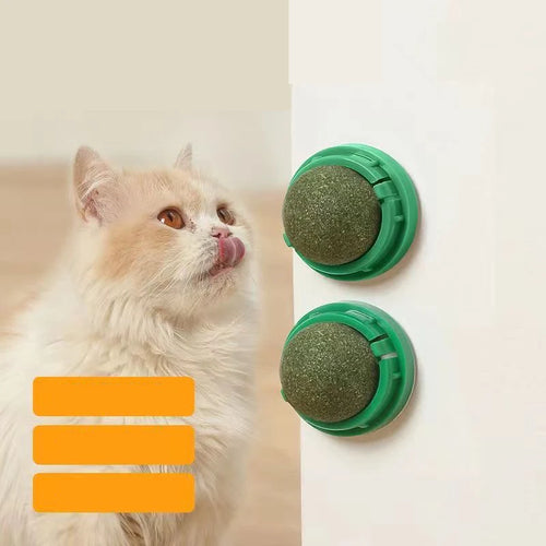 CatStick
