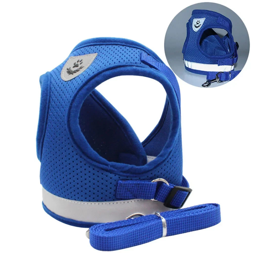 SafePet