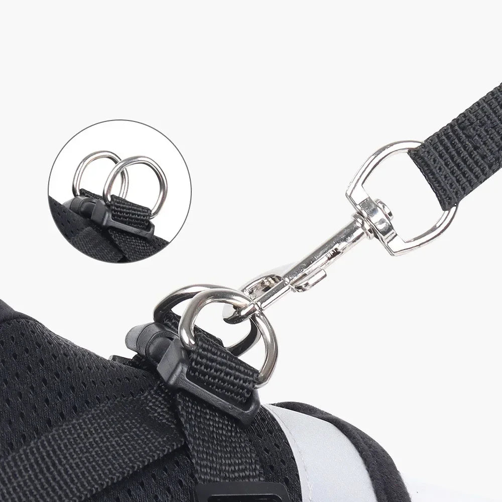 SafePet