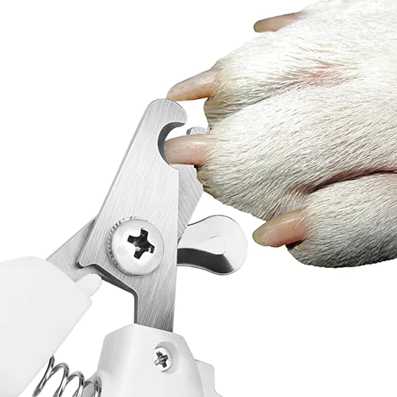 Forbici Per Animali con Punta Arrotondata Anti-Infortunio