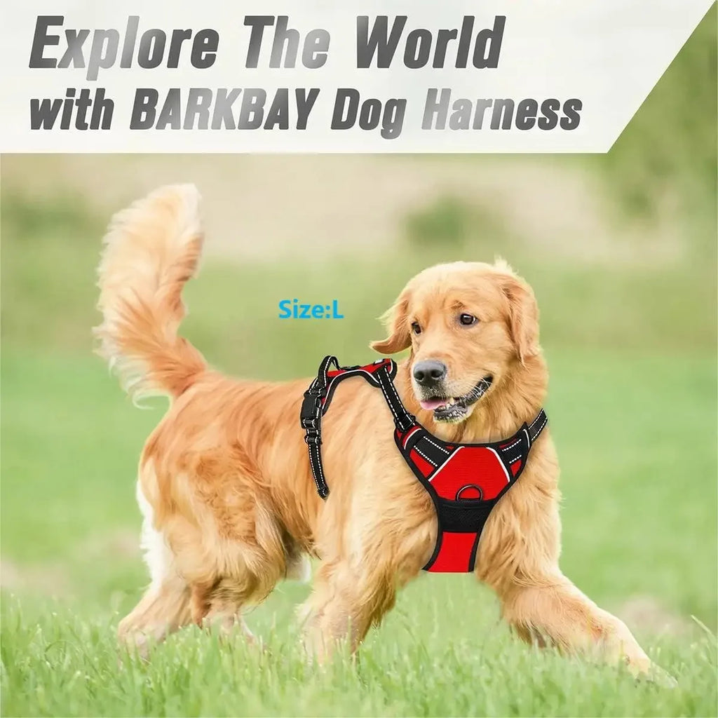 DogLux