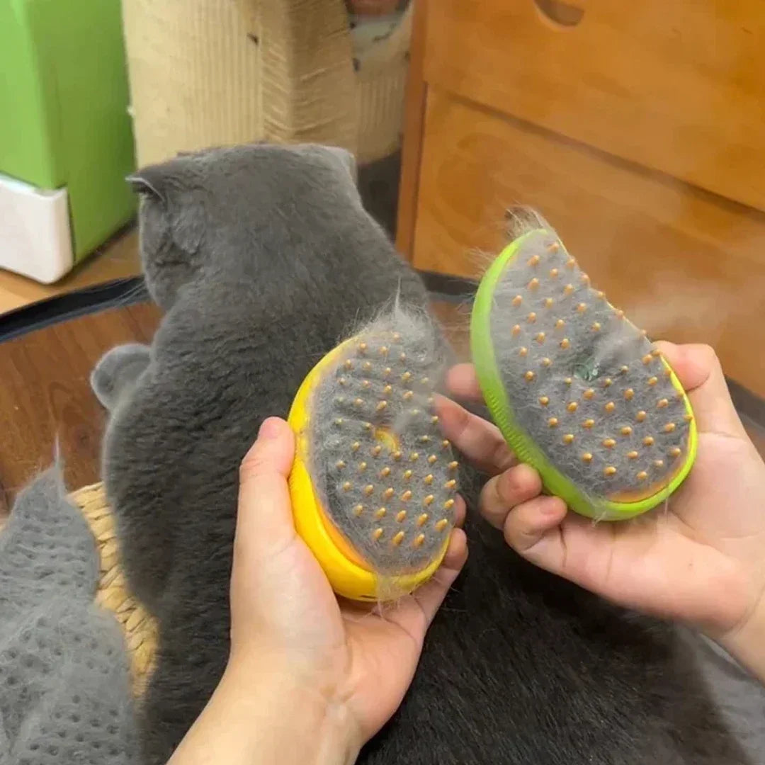 SteamPet