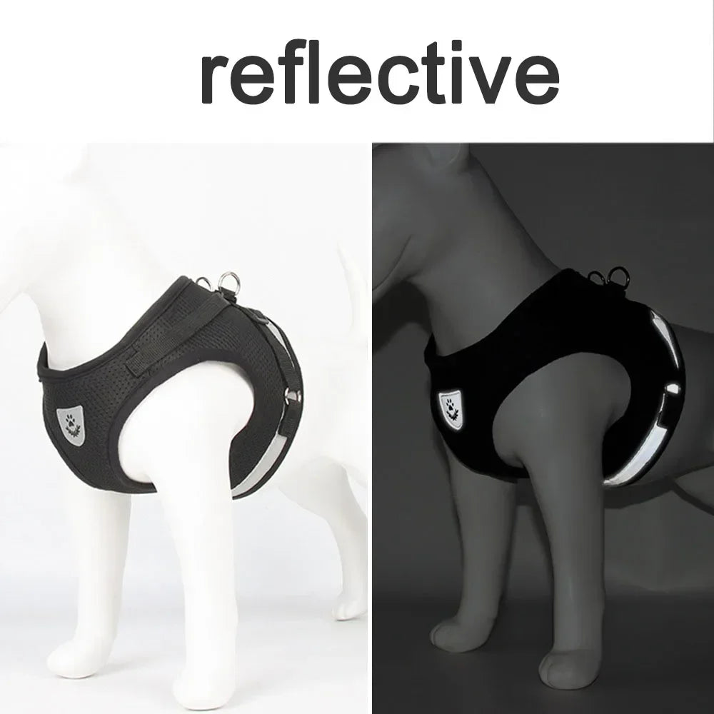 SafePet