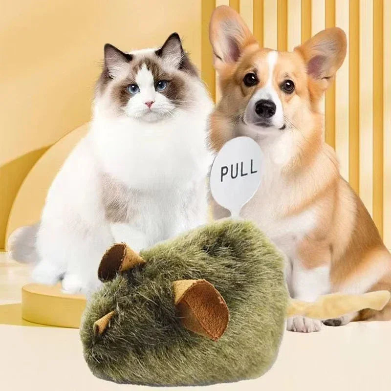 Topolino Giocattolo Interattivo Per Gatti