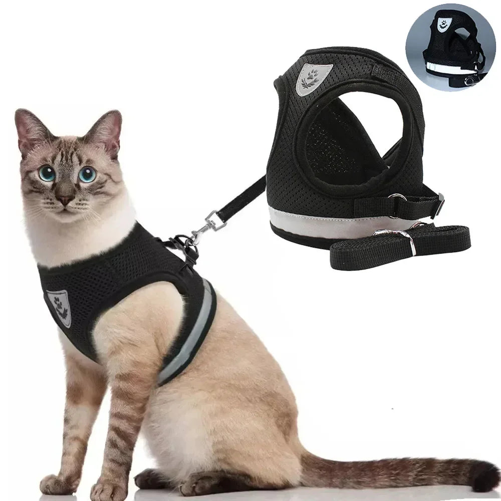 SafePet