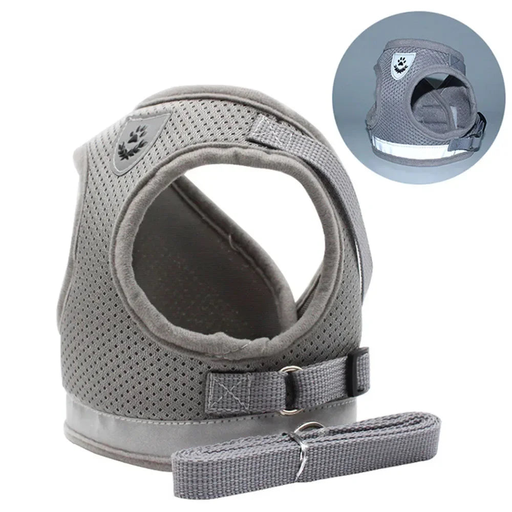 SafePet