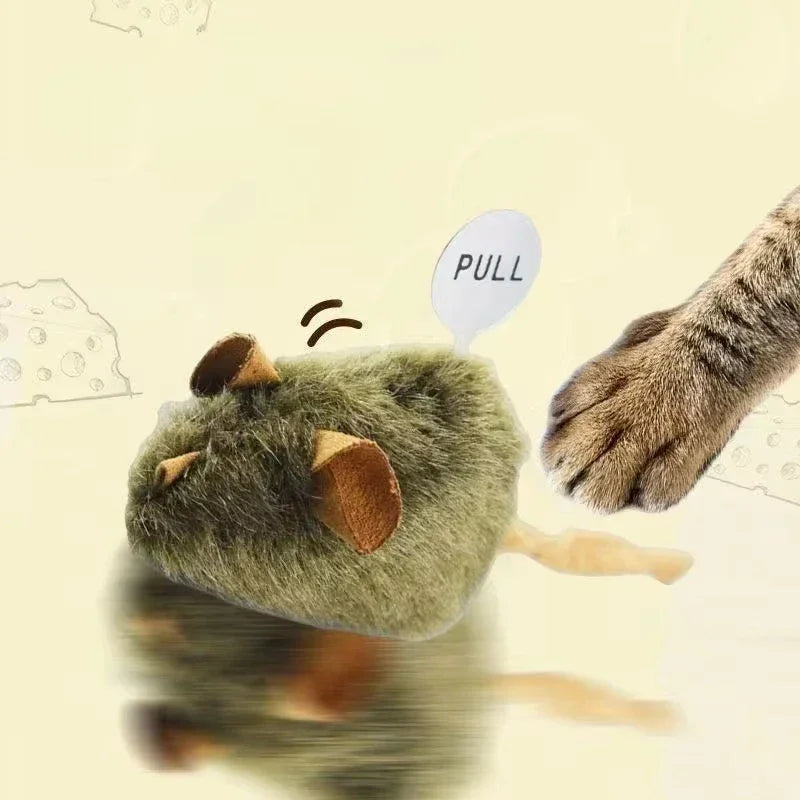 Topolino Giocattolo Interattivo Per Gatti