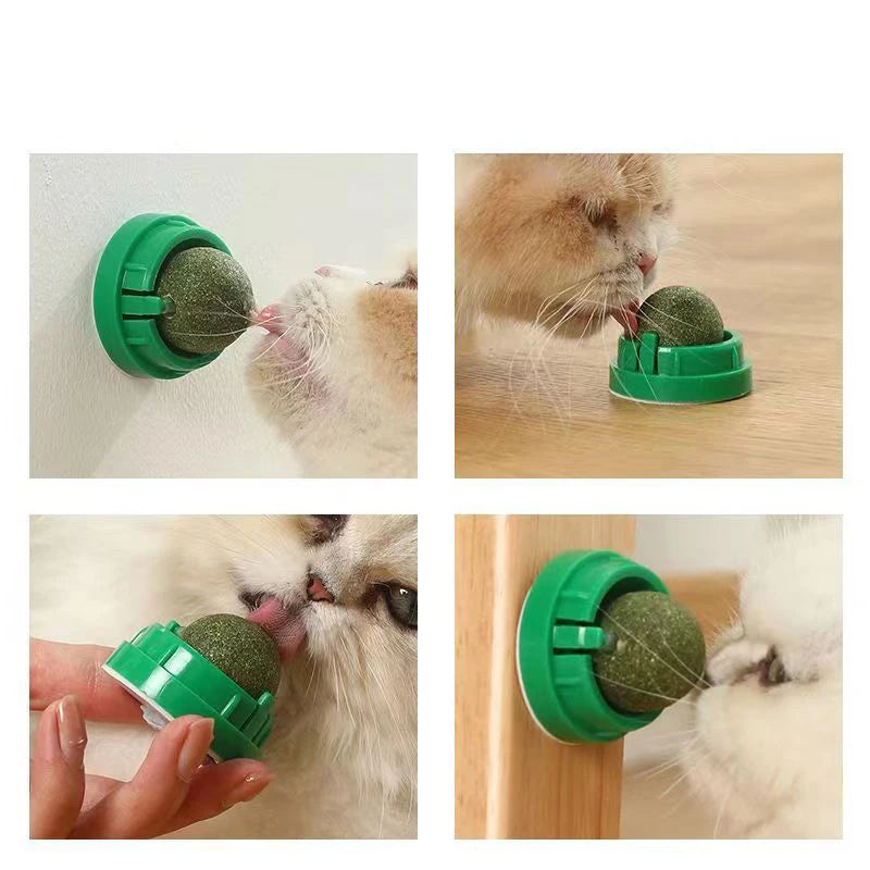 CatStick