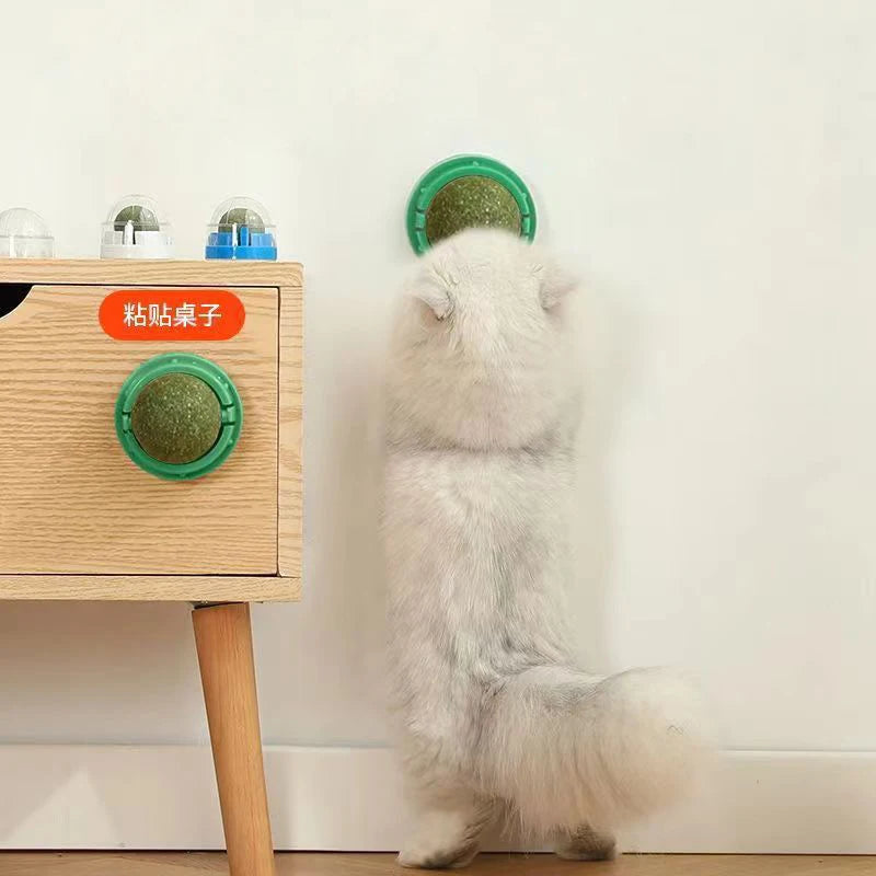 CatStick