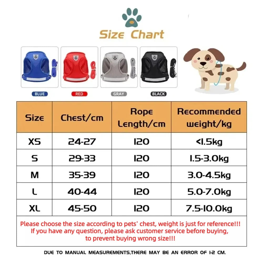 SafePet