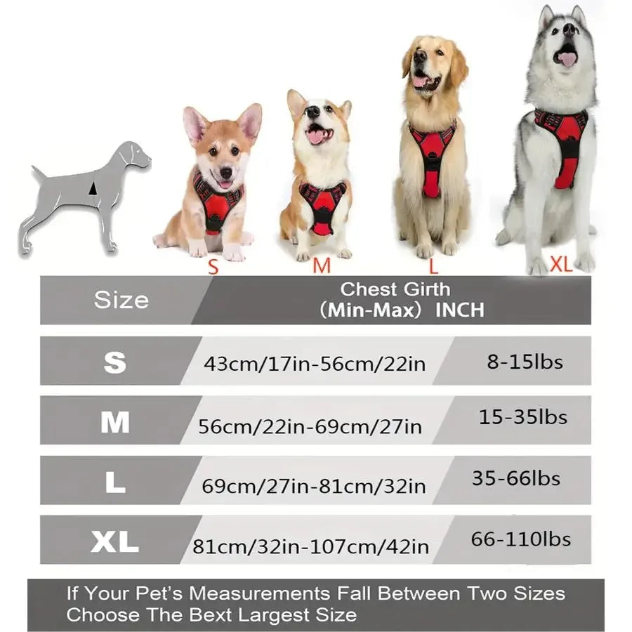 DogLux