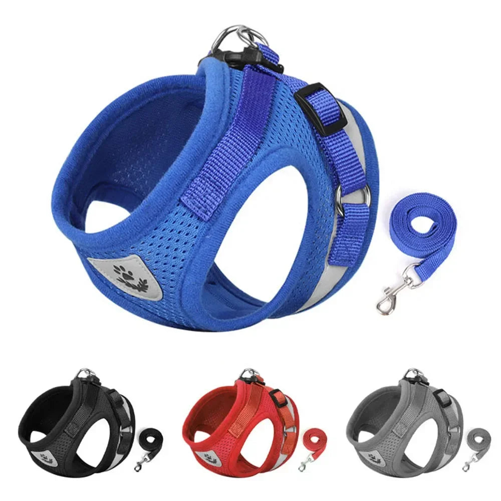 SafePet