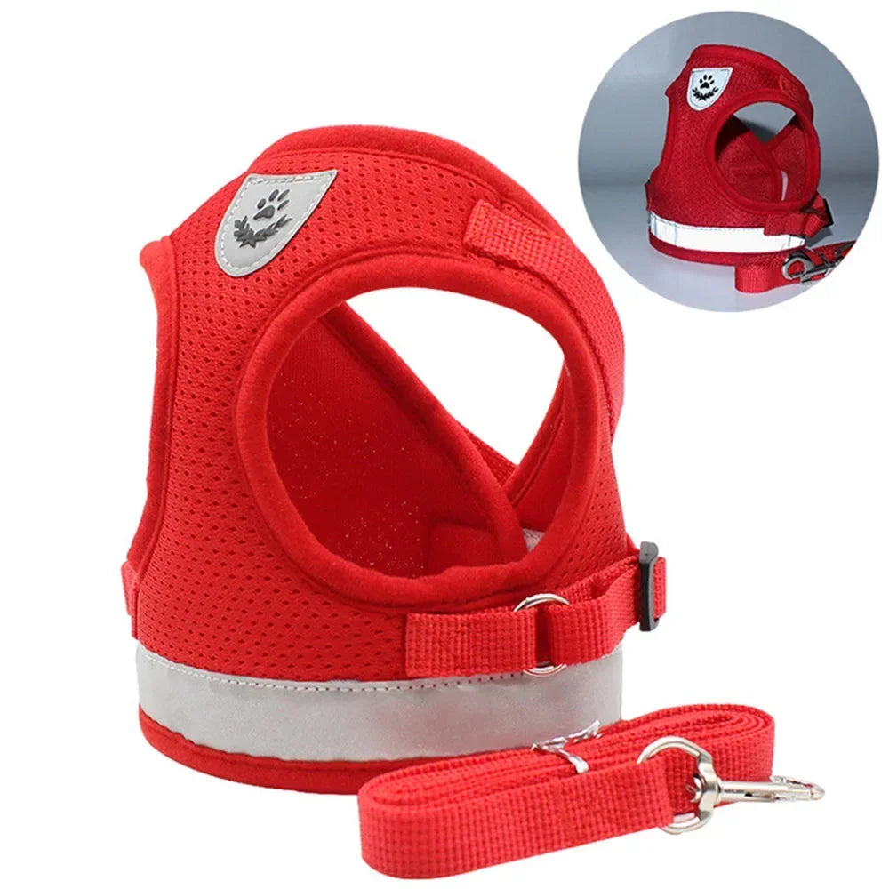 SafePet