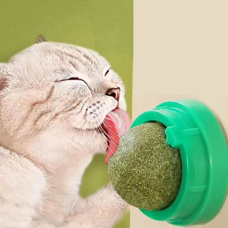 CatStick