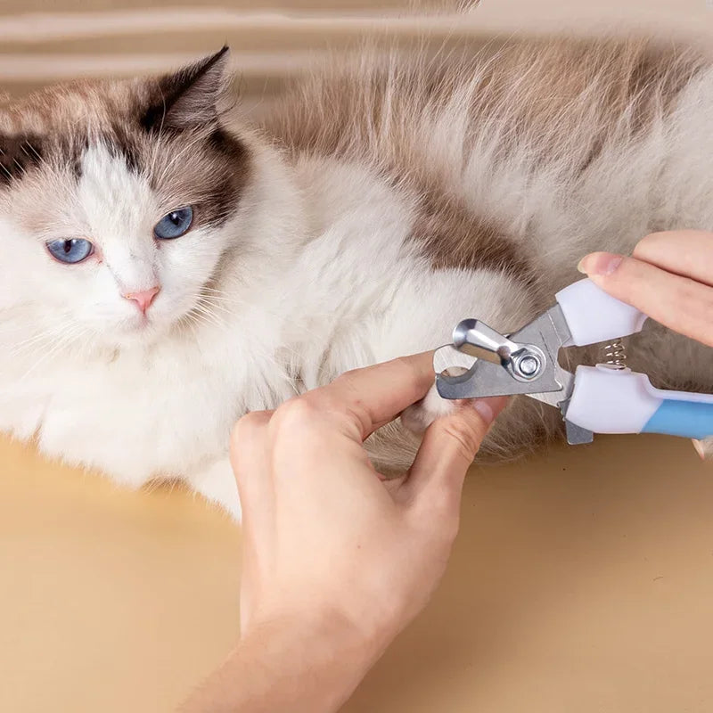 Forbici Per Animali con Punta Arrotondata Anti-Infortunio