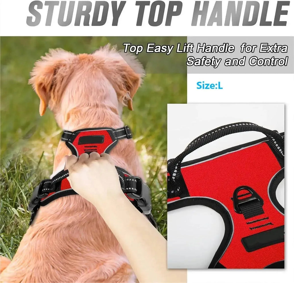 DogLux